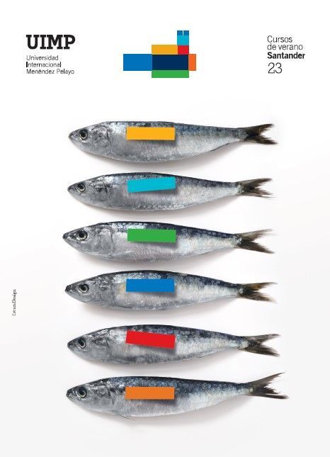 cartel curso uimp 2023